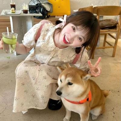 君子好逑